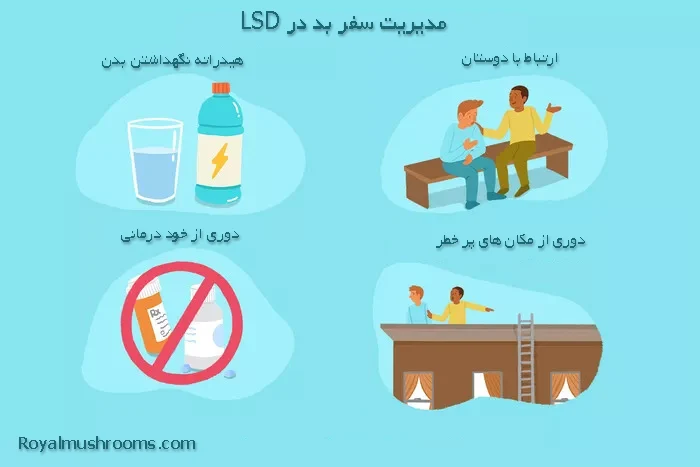 تنظیم و وضعیت در LSD