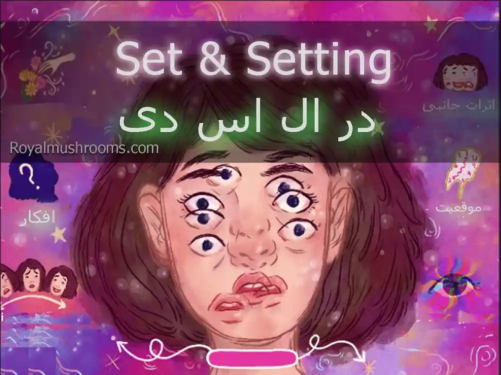 تنظیم و وضعیت در LSD