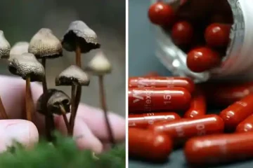 تداخل داروهای ضد افسردگی با قارچ ها جادویی