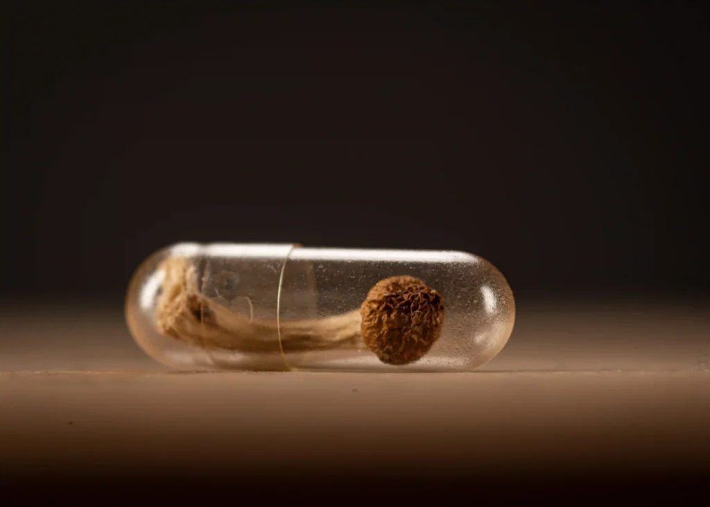 تداخل داروهای ضد افسردگی با قارچ ها جادویی