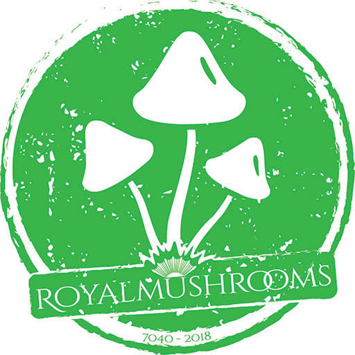 رویال ماشروم
